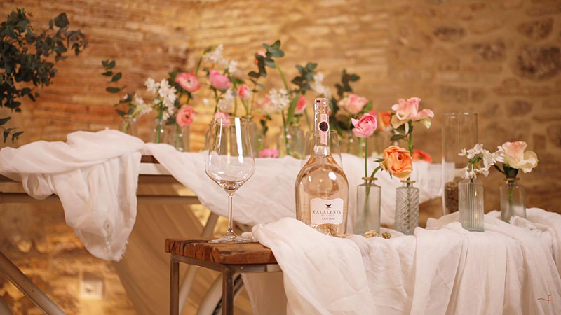 Fantini Wines Video